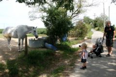 Ballade près de Chaponost
