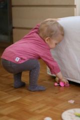 Activité favorite : le ramassage, oct. 2009 Activité favorite : le ramassage