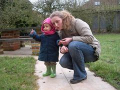 elles sont où les poules ?