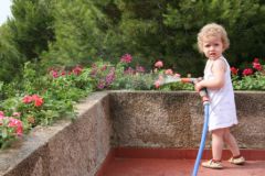 L'arrosage des fleurs