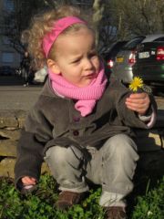 Un pissenlit jaune !, avr. 2011 Un pissenlit jaune !