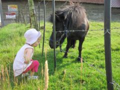 Le poney de Martine