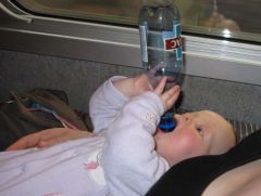 Pas bête, l'alouette !